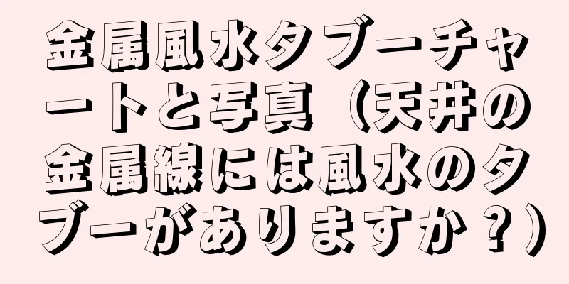 金属風水タブーチャートと写真（天井の金属線には風水のタブーがありますか？）