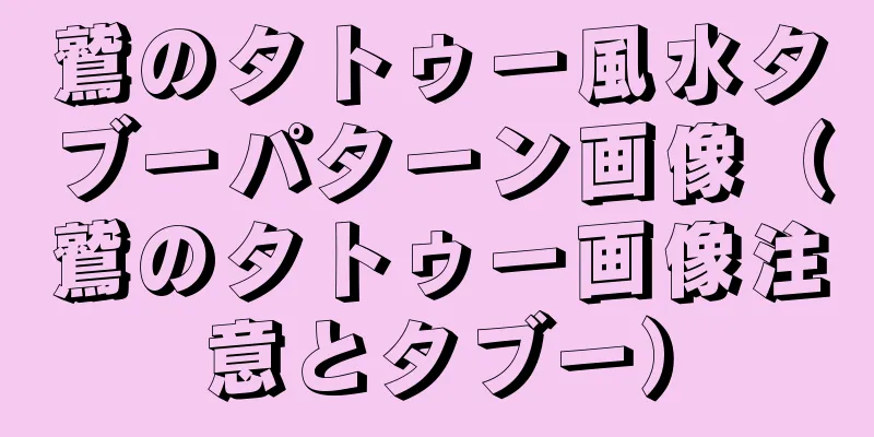 鷲のタトゥー風水タブーパターン画像（鷲のタトゥー画像注意とタブー）