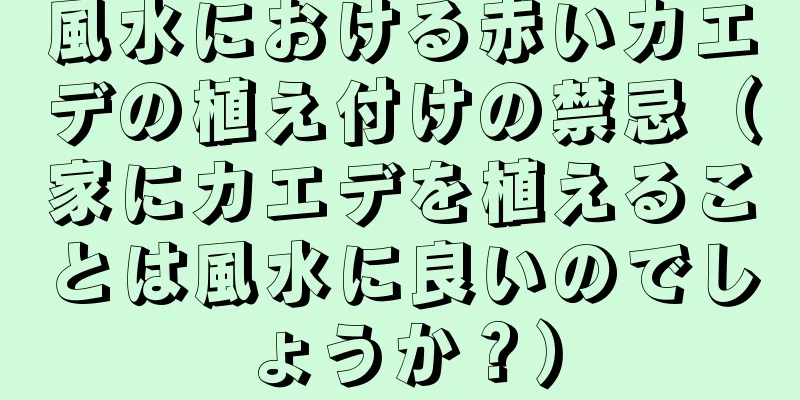 風水における赤いカエデの植え付けの禁忌（家にカエデを植えることは風水に良いのでしょうか？）