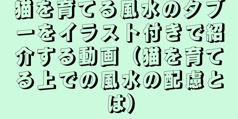 猫を育てる風水のタブーをイラスト付きで紹介する動画（猫を育てる上での風水の配慮とは）