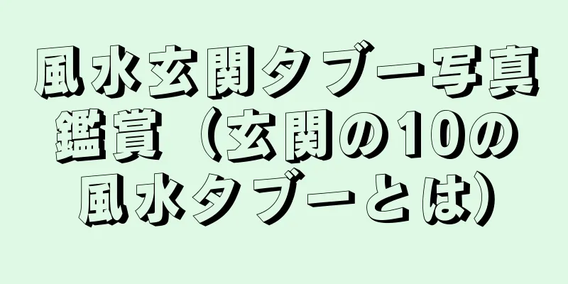 風水玄関タブー写真鑑賞（玄関の10の風水タブーとは）