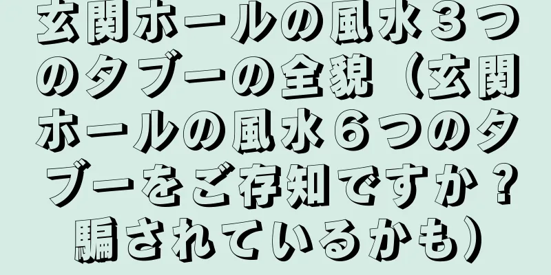 玄関ホールの風水３つのタブーの全貌（玄関ホールの風水６つのタブーをご存知ですか？騙されているかも）