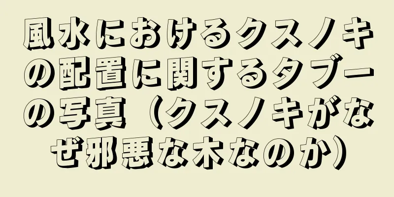風水におけるクスノキの配置に関するタブーの写真（クスノキがなぜ邪悪な木なのか）