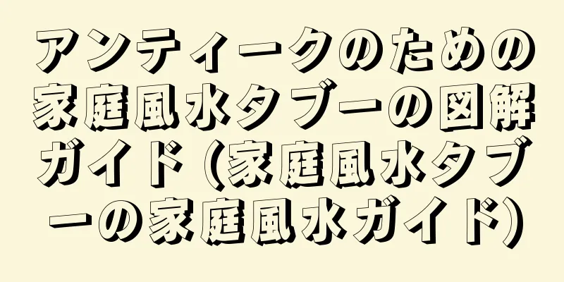 アンティークのための家庭風水タブーの図解ガイド (家庭風水タブーの家庭風水ガイド)