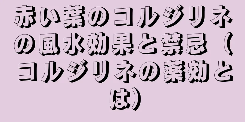 赤い葉のコルジリネの風水効果と禁忌（コルジリネの薬効とは）