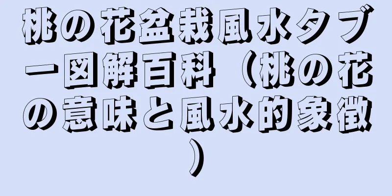 桃の花盆栽風水タブー図解百科（桃の花の意味と風水的象徴）