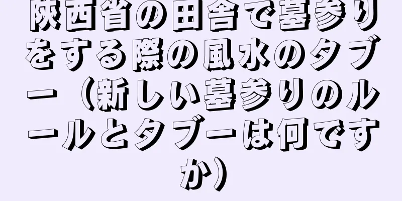 陝西省の田舎で墓参りをする際の風水のタブー（新しい墓参りのルールとタブーは何ですか）
