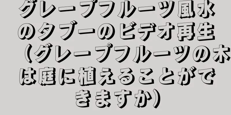 グレープフルーツ風水のタブーのビデオ再生（グレープフルーツの木は庭に植えることができますか）