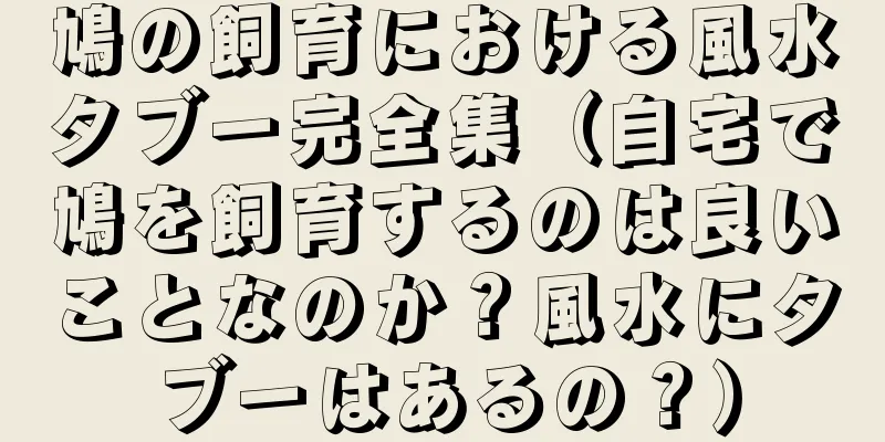 鳩の飼育における風水タブー完全集（自宅で鳩を飼育するのは良いことなのか？風水にタブーはあるの？）
