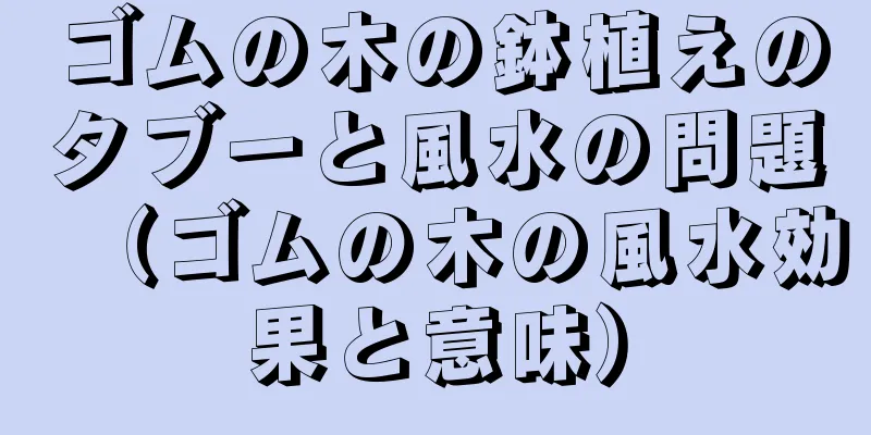 ゴムの木の鉢植えのタブーと風水の問題（ゴムの木の風水効果と意味）