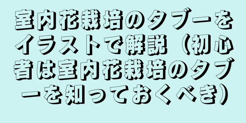 室内花栽培のタブーをイラストで解説（初心者は室内花栽培のタブーを知っておくべき）