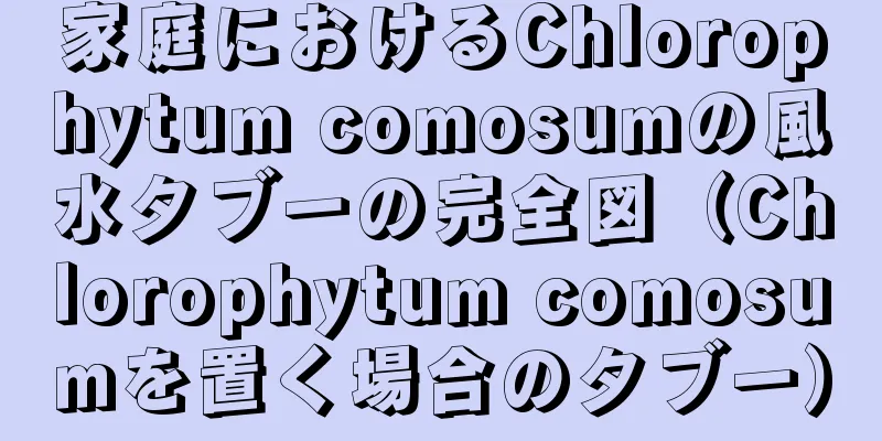 家庭におけるChlorophytum comosumの風水タブーの完全図（Chlorophytum comosumを置く場合のタブー）