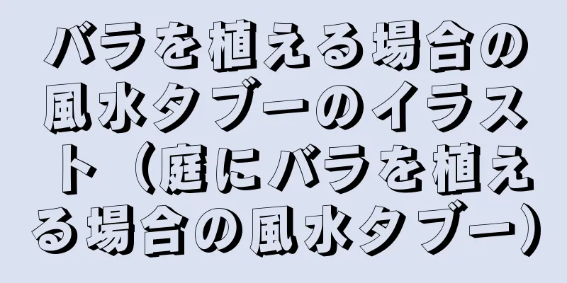 バラを植える場合の風水タブーのイラスト（庭にバラを植える場合の風水タブー）