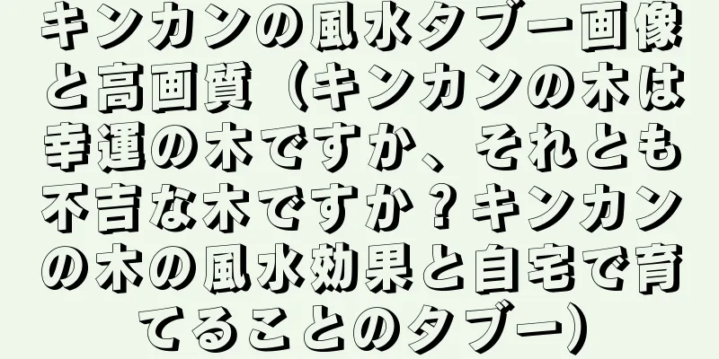 キンカンの風水タブー画像と高画質（キンカンの木は幸運の木ですか、それとも不吉な木ですか？キンカンの木の風水効果と自宅で育てることのタブー）