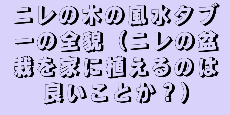 ニレの木の風水タブーの全貌（ニレの盆栽を家に植えるのは良いことか？）