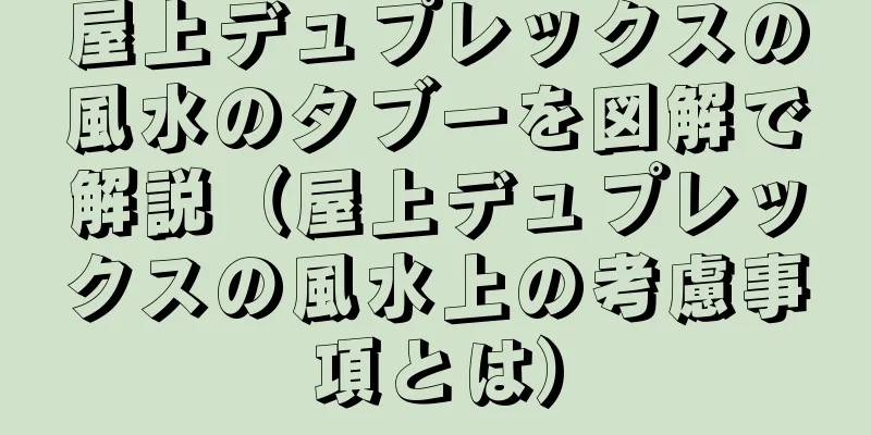 屋上デュプレックスの風水のタブーを図解で解説（屋上デュプレックスの風水上の考慮事項とは）
