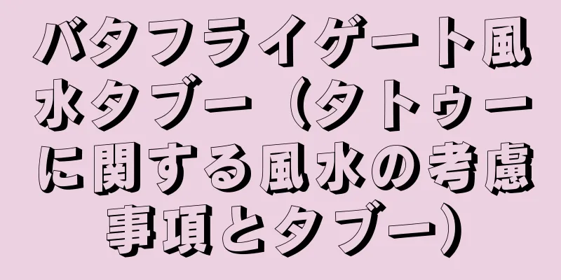 バタフライゲート風水タブー（タトゥーに関する風水の考慮事項とタブー）