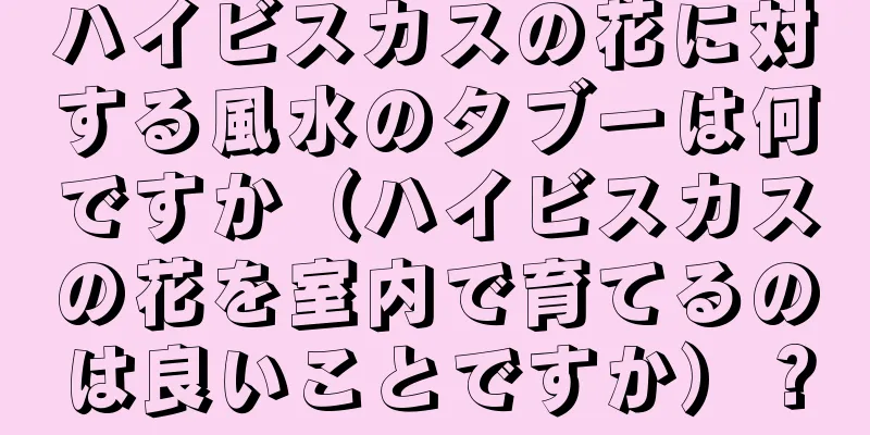 ハイビスカスの花に対する風水のタブーは何ですか（ハイビスカスの花を室内で育てるのは良いことですか）？