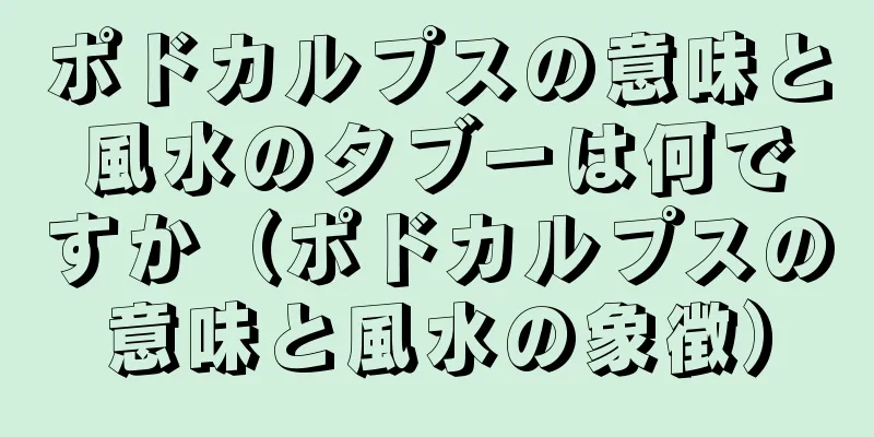 ポドカルプスの意味と風水のタブーは何ですか（ポドカルプスの意味と風水の象徴）