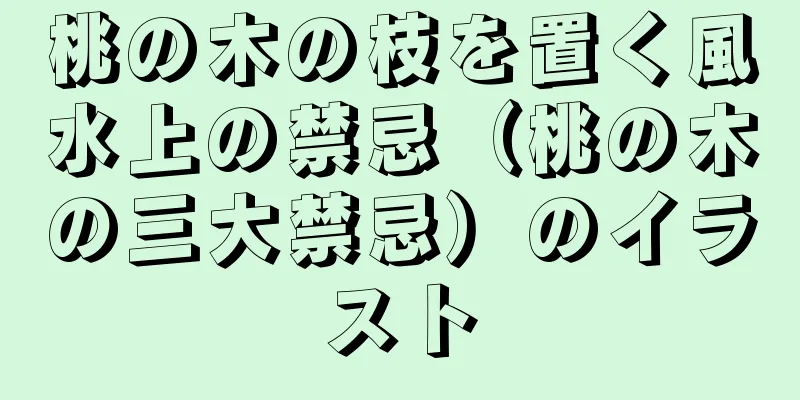 桃の木の枝を置く風水上の禁忌（桃の木の三大禁忌）のイラスト