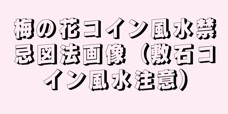 梅の花コイン風水禁忌図法画像（敷石コイン風水注意）