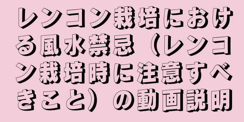 レンコン栽培における風水禁忌（レンコン栽培時に注意すべきこと）の動画説明