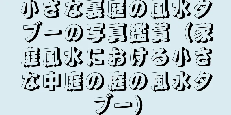 小さな裏庭の風水タブーの写真鑑賞（家庭風水における小さな中庭の庭の風水タブー）