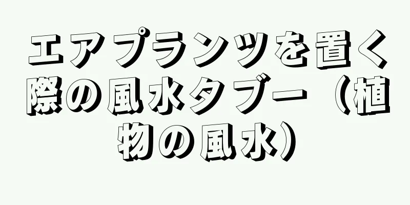 エアプランツを置く際の風水タブー（植物の風水）