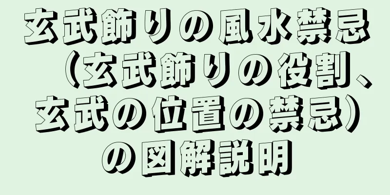 玄武飾りの風水禁忌（玄武飾りの役割、玄武の位置の禁忌）の図解説明