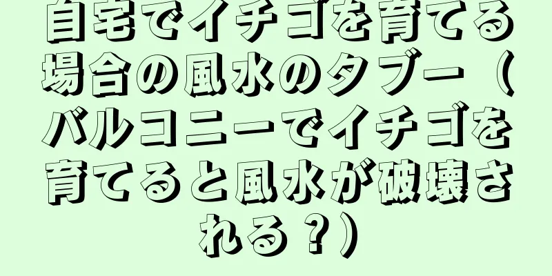 自宅でイチゴを育てる場合の風水のタブー（バルコニーでイチゴを育てると風水が破壊される？）