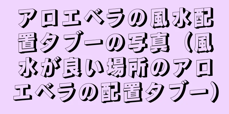アロエベラの風水配置タブーの写真（風水が良い場所のアロエベラの配置タブー）