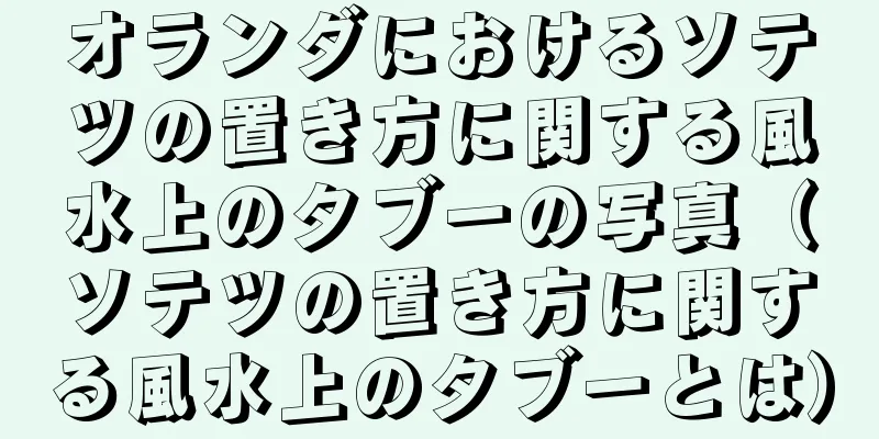 オランダにおけるソテツの置き方に関する風水上のタブーの写真（ソテツの置き方に関する風水上のタブーとは）