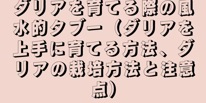 ダリアを育てる際の風水的タブー（ダリアを上手に育てる方法、ダリアの栽培方法と注意点）