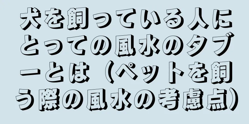 犬を飼っている人にとっての風水のタブーとは（ペットを飼う際の風水の考慮点）