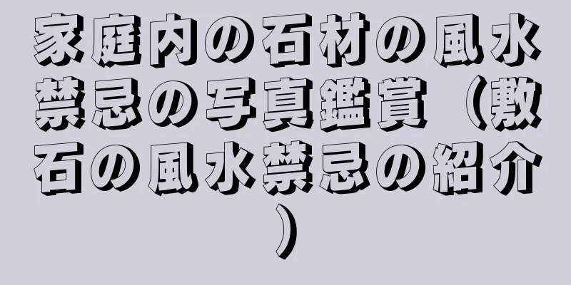 家庭内の石材の風水禁忌の写真鑑賞（敷石の風水禁忌の紹介）