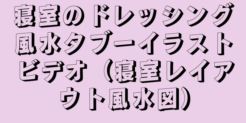 寝室のドレッシング風水タブーイラストビデオ（寝室レイアウト風水図）