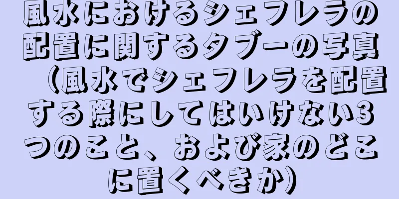 風水におけるシェフレラの配置に関するタブーの写真（風水でシェフレラを配置する際にしてはいけない3つのこと、および家のどこに置くべきか）