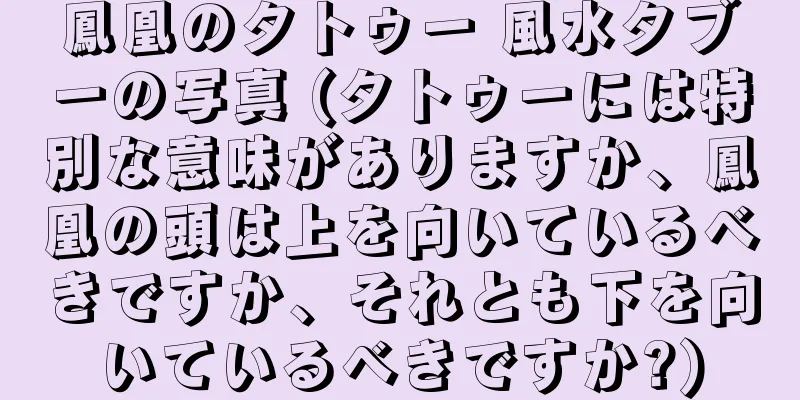 鳳凰のタトゥー 風水タブーの写真 (タトゥーには特別な意味がありますか、鳳凰の頭は上を向いているべきですか、それとも下を向いているべきですか?)