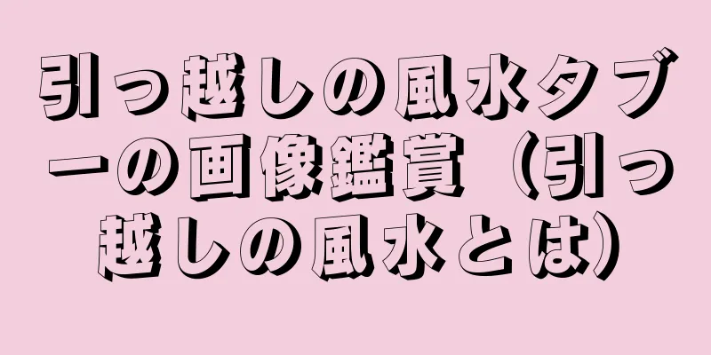 引っ越しの風水タブーの画像鑑賞（引っ越しの風水とは）