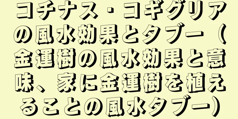 コチナス・コギグリアの風水効果とタブー（金運樹の風水効果と意味、家に金運樹を植えることの風水タブー）