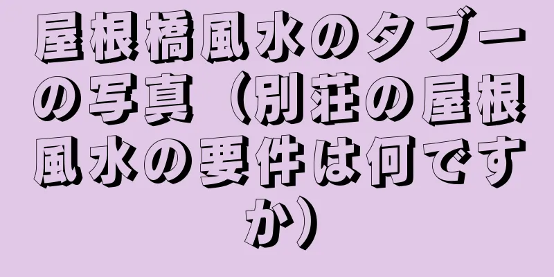 屋根橋風水のタブーの写真（別荘の屋根風水の要件は何ですか）