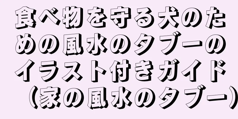 食べ物を守る犬のための風水のタブーのイラスト付きガイド（家の風水のタブー）