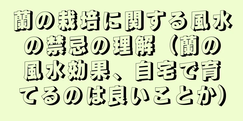 蘭の栽培に関する風水の禁忌の理解（蘭の風水効果、自宅で育てるのは良いことか）