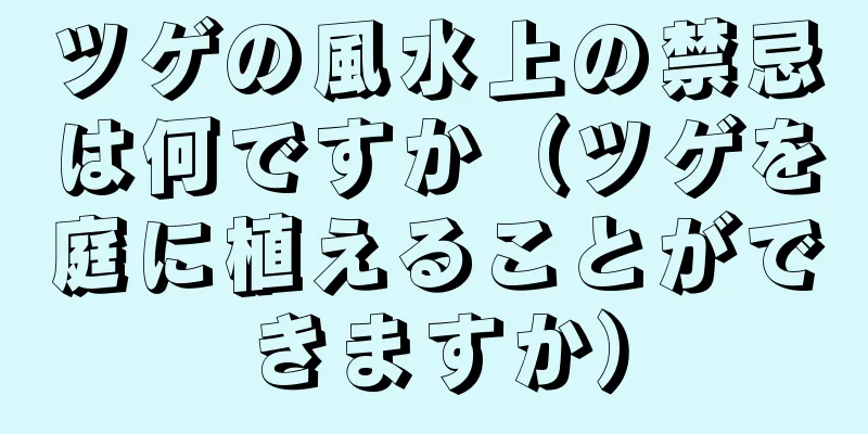 ツゲの風水上の禁忌は何ですか（ツゲを庭に植えることができますか）