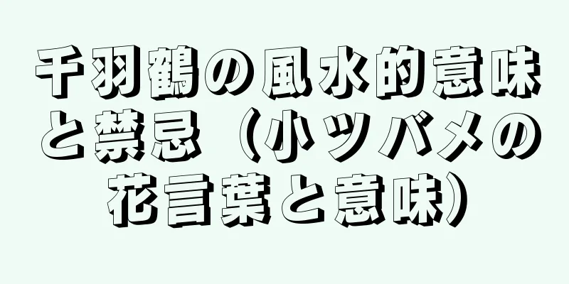 千羽鶴の風水的意味と禁忌（小ツバメの花言葉と意味）