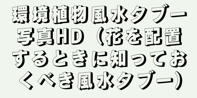 環境植物風水タブー写真HD（花を配置するときに知っておくべき風水タブー）