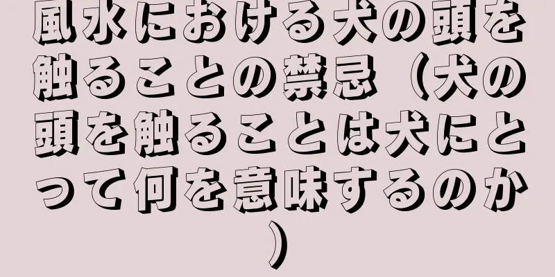 風水における犬の頭を触ることの禁忌（犬の頭を触ることは犬にとって何を意味するのか）