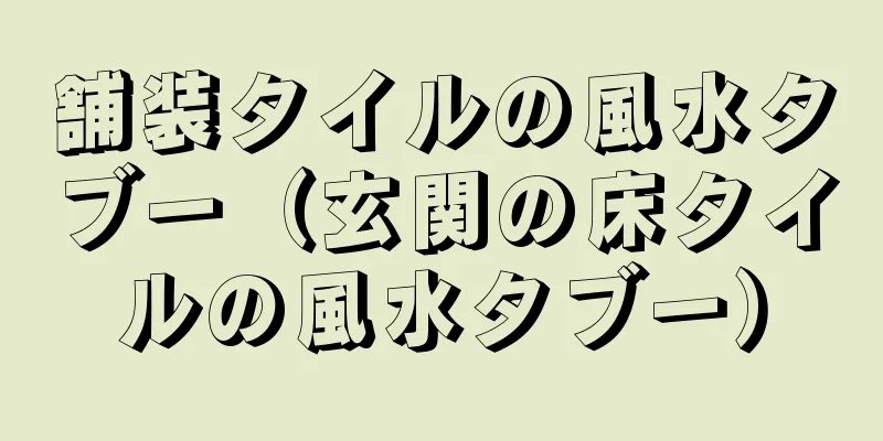 舗装タイルの風水タブー（玄関の床タイルの風水タブー）
