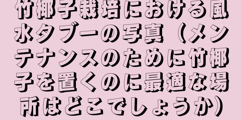 竹椰子栽培における風水タブーの写真（メンテナンスのために竹椰子を置くのに最適な場所はどこでしょうか）