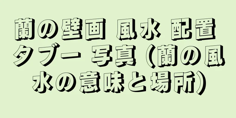 蘭の壁画 風水 配置 タブー 写真 (蘭の風水の意味と場所)